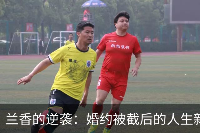 兰香的逆袭：婚约被截后的人生新篇